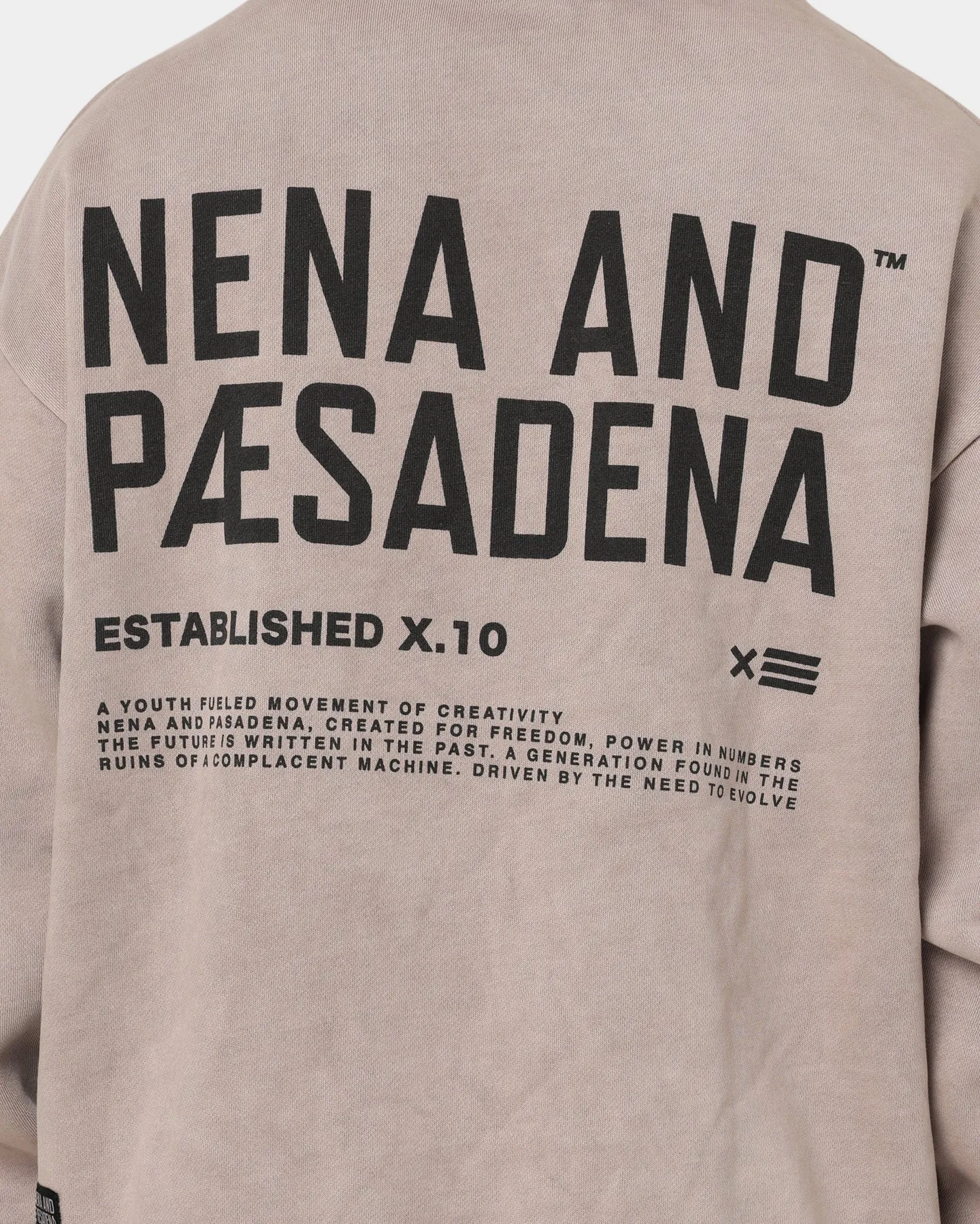 Nena and Pasadena Untamable Relaxed Hoodie Pigment Mushroom