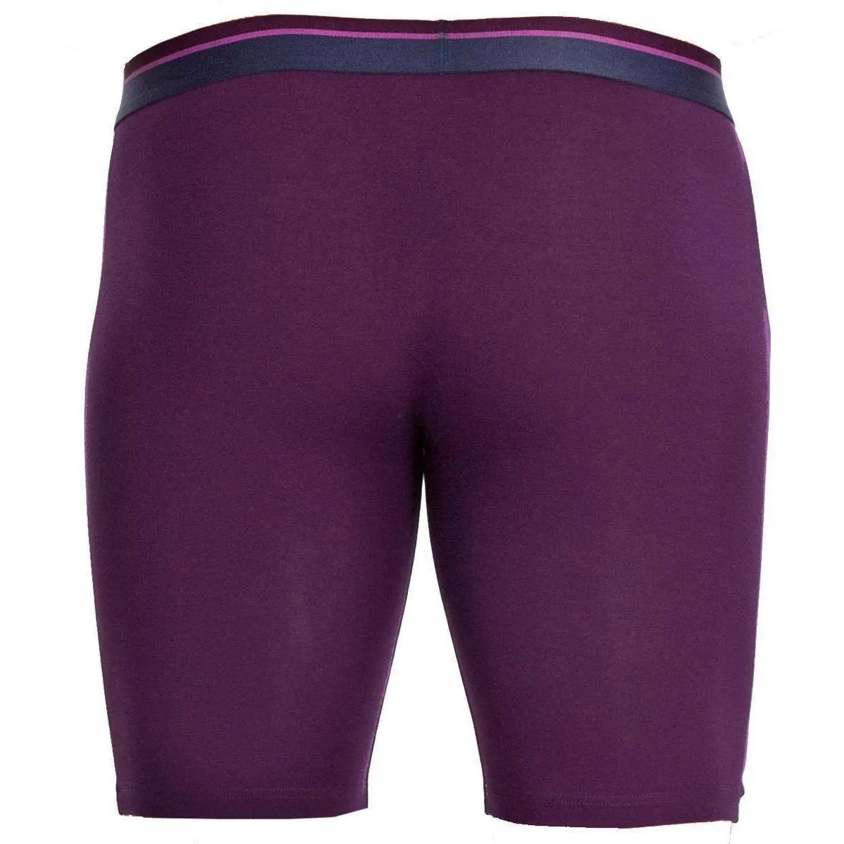 Obviously PrimeMan AnatoMAX Boxer Brief 9inch Leg - Purple