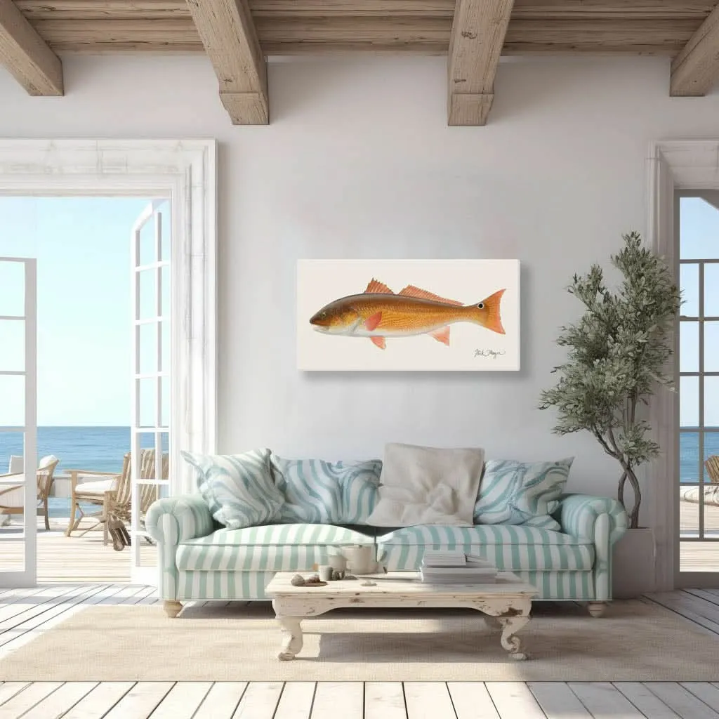 Redfish, 15 lbs Canvas Print