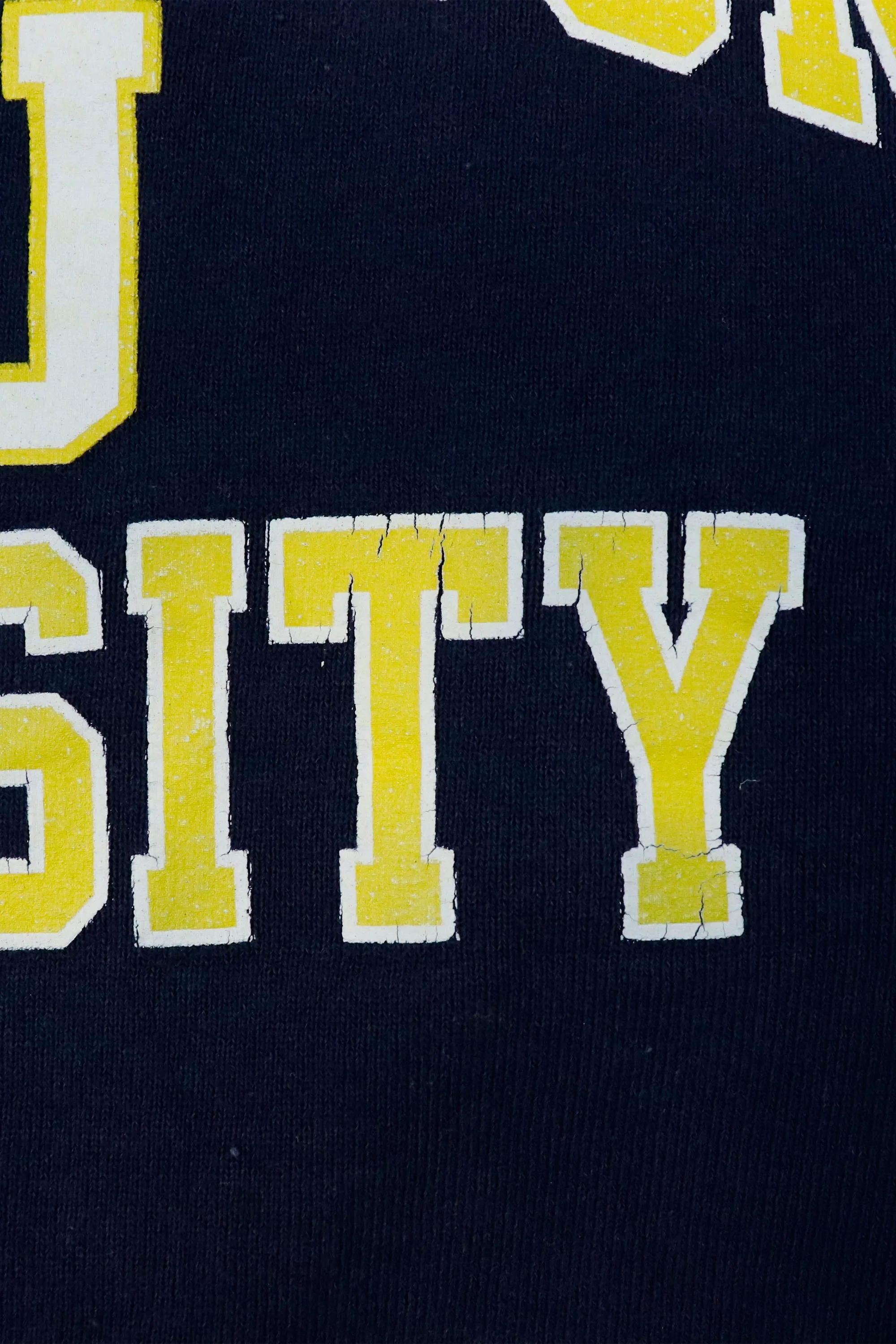 Vintage Spring Arbor University Sweatshirt